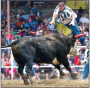 October Means Angola Prison Rodeo - Vimarsana News