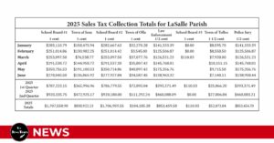 Sales Tax Collections Rebound in 2Q