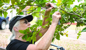 – NATURE’S WAY –