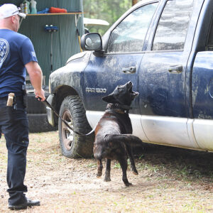 LPSO hosts police canine certification